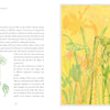 A spread from Atlas of Elementary Botany by Jean-Jacques Rousseau (Schiffer Publishing, Ltd.) shows text and botanical diagrams of stamens with references to Rousseau’s letters on the left, and yellow-and-white flowers illustrated on a yellow background on the right.