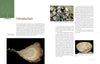“Green Wood Turning” by Schiffer Publishing, Ltd. features a two-page spread for wood lathe beginners with photos of turned wooden bowls, raw wood slices, an intro to the craft, and a simple tree illustration on the left page.