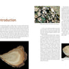 “Green Wood Turning” by Schiffer Publishing, Ltd. features a two-page spread for wood lathe beginners with photos of turned wooden bowls, raw wood slices, an intro to the craft, and a simple tree illustration on the left page.