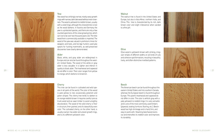 Schiffer Publishing, Ltd.'s "Green Wood Turning" includes a two-page glossary with images and descriptions of Yew, Alder, Cherry, Walnut, Olive, and Beech—perfect for wood lathe beginners seeking inspiration for new projects.