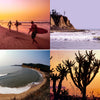 A collage from "surfEXPLORE" by Schiffer Publishing, Ltd.: surfers at sunset, a rider by cliffs, an aerial curved beach, and sunset behind cacti—highlighting iconic surfing spots curated by travel experts.