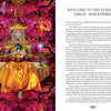 A woman in a golden crown and orange silk dress sits cross-legged on a vibrant cushion, holding a black staff and flower, set against a psychedelic pink-red background—evoking the visionary art of Schiffer Publishing’s Starman Tarot Remastered.