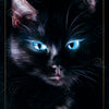A mystical black cat with glowing blue eyes stares forward, encircled by patterns inspired by Slavic heritage. "8 of Air" appears in gold script below, from The Ukrainian Tarot by Schiffer Publishing, Ltd.