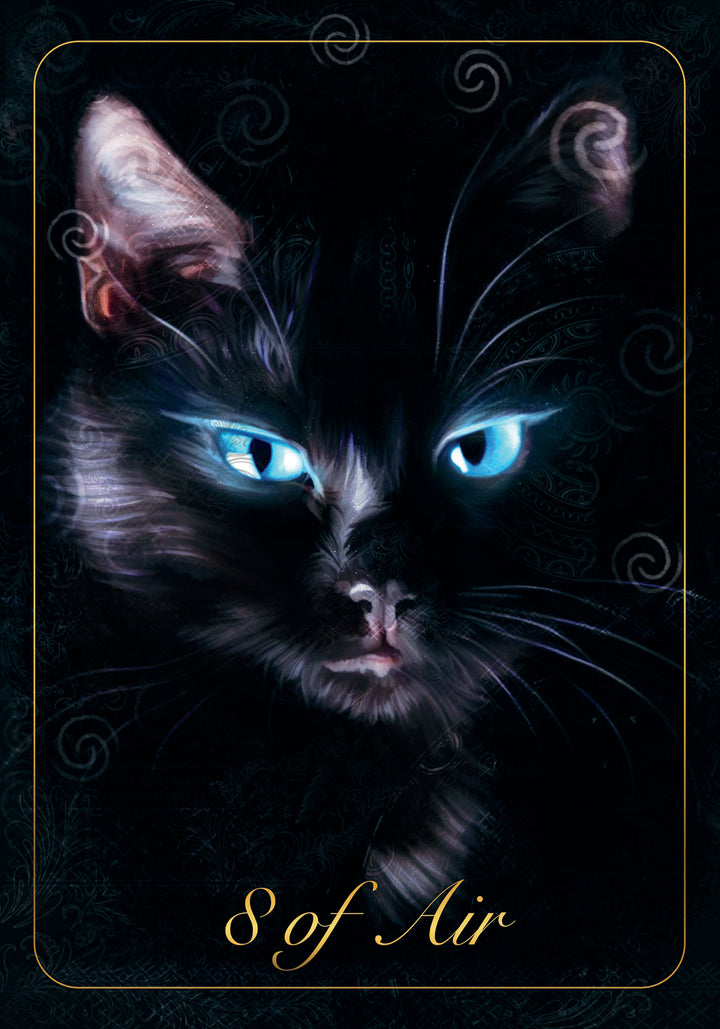 A mystical black cat with glowing blue eyes stares forward, encircled by patterns inspired by Slavic heritage. "8 of Air" appears in gold script below, from The Ukrainian Tarot by Schiffer Publishing, Ltd.