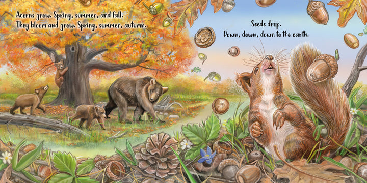 In "The Tiniest Giant" by Schiffer Publishing, Ltd., a tree sheds acorns as a bear family passes by; a chipmunk watches seeds fall amid grass, pinecones, and mushrooms, while text teaches about the acorn life cycle and autumn changes.