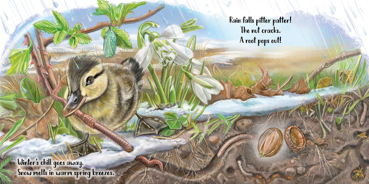 In The Tiniest Giant from Schiffer Publishing, Ltd., a duckling pulls a worm from thawing earth, snowdrops bloom, rain falls, and sprouting seeds show the acorn life cycle—all described in handwritten text as winter turns to spring.