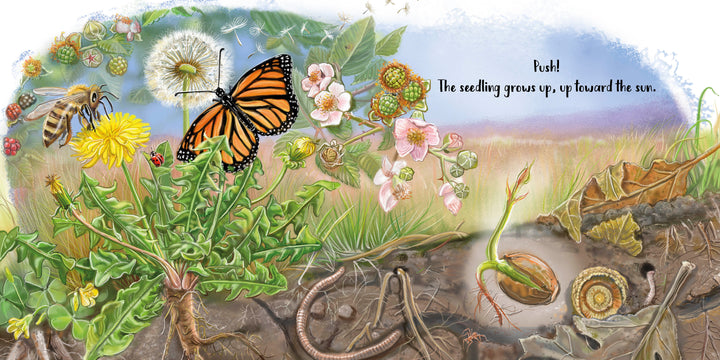 A vibrant scene from The Tiniest Giant (Schiffer Publishing, Ltd.) shows a blooming dandelion, bee, butterfly, flowers, leaves, earthworm underground with roots and seedling. Text: Hush! The seedling grows up toward the sun in this board book.