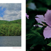 On the left, "The Appalachian Trail" by Schiffer Publishing, Ltd. features forested hills and a calm lake; on the right, a close-up of a light purple trillium flower with green leaves evokes classic trail scenery.