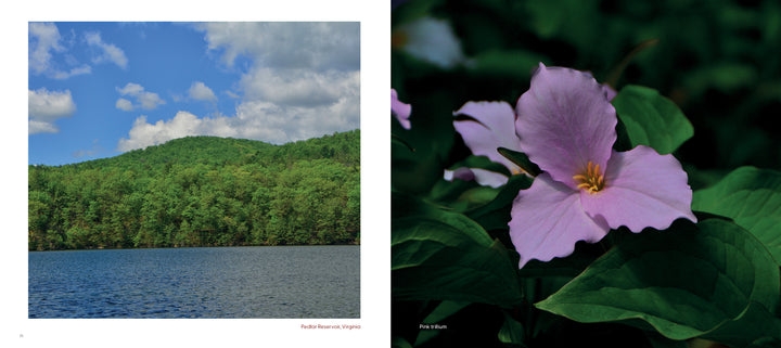 On the left, "The Appalachian Trail" by Schiffer Publishing, Ltd. features forested hills and a calm lake; on the right, a close-up of a light purple trillium flower with green leaves evokes classic trail scenery.