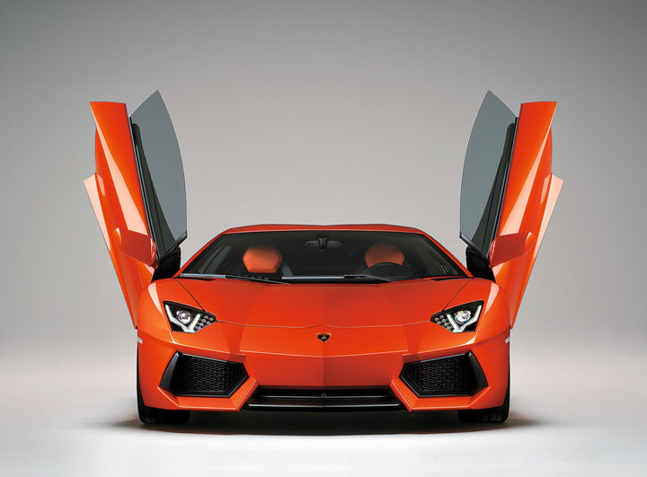 A front view of the Automobili Lamborghini Special Edition by Schiffer Publishing, Ltd. showcases its scissor doors open in a studio with a gray background—ideal for luxury sportscar and Automobili Lamborghini aficionados.