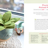 A felt succulent in a snail pot sits on a lace windowsill with ceramic mushrooms. The right page in "HeartFELT Crafts to Make and Give" by Schiffer Publishing, Ltd. shows instructions and materials for this beginner project.