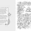 A spread from Fantasy World Coloring Book MAGIC MEADOWS by Schiffer Publishing, Ltd.: left page has a floral-bordered story about a magical meadow; right page features “This Magic Meadow” with flowers, birds, and a castle to color.