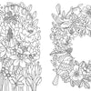 Discover whimsical black and white floral line art from "Fantasy World Coloring Book: MAGIC MEADOWS - ROYAL KINGDOM - MERMAIDS’ BAY" by Schiffer Publishing, Ltd., featuring tiny houses, birds on a floral wreath, and intricate designs inspired by Emelie Lidehäll Öberg.