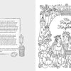 The Fantasy World Coloring Book: MAGIC MEADOWS - ROYAL KINGDOM - MERMAIDS’ BAY by Schiffer Publishing, Ltd. features a whimsical story intro with charming icons and a royal scene—ideal for imaginative coloring fans.