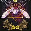 A white owl with outstretched wings sits in a golden star on The MicroCosmic Oracle by Schiffer Publishing, Ltd., with Mars and Libra symbols, the number 55, and the word JUSTICE—ideal for astrology or zodiac oracle readings.