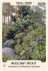 An illustrated juniper tree and berries stand among rocks and pines, watched by forest spirits. Text: Juniper (Juniperus communis). Resilient Spirit. From Nordic Forest Rituals Oracle Cards by Schiffer Publishing, Ltd., inspired by Nordic folklore.
