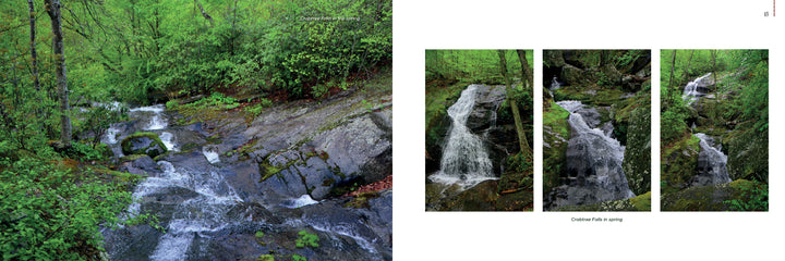 Verdant forest frames a rocky creek along the Appalachian Trail, inviting hikers. Right: Three vertical photos from Schiffer Publishing’s "Iconic and Hidden Gems of the Appalachian Trail" show close-up spring waterfalls.