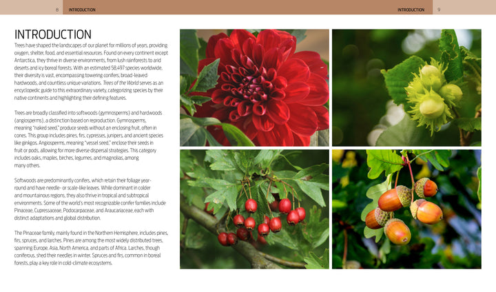 A collage from Schiffer Publishing, Ltd.'s "Trees of the World" features a deep red dahlia, hazelnuts in husks, red berries on branches, and acorns—showcasing the stunning diversity of global trees and plants.