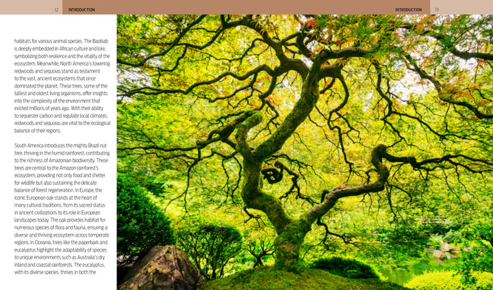 A grand tree with twisted branches and green-yellow leaves stands surrounded by lush greenery and rocks, evoking the serenity of "Trees of the World" from Schiffer Publishing, Ltd.