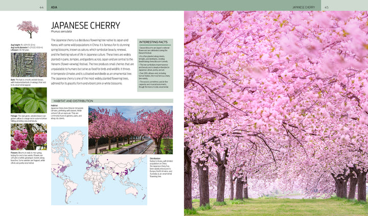 A vibrant park scene with blooming Japanese cherry trees, as seen in "Trees of the World" by Schiffer Publishing, Ltd., shows people strolling under pink blossoms and green grass contrasting the colorful canopy.