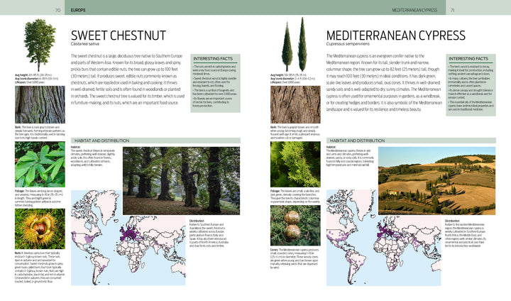 A spread from Trees of the World by Schiffer Publishing, Ltd. showcases sweet chestnut and Mediterranean cypress with photos of trees, leaves, bark, nuts, habitat maps, a species guide, and interesting facts about these global trees.
