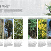 A page from Trees of the World by Schiffer Publishing, Ltd. guides tree species with photos and descriptions of False Cypress, Juniper, Whitecedar, and Redwood, plus foliage and cone close-ups and a branch illustration.
