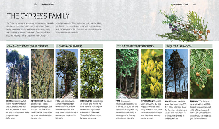 A page from Trees of the World by Schiffer Publishing, Ltd. guides tree species with photos and descriptions of False Cypress, Juniper, Whitecedar, and Redwood, plus foliage and cone close-ups and a branch illustration.