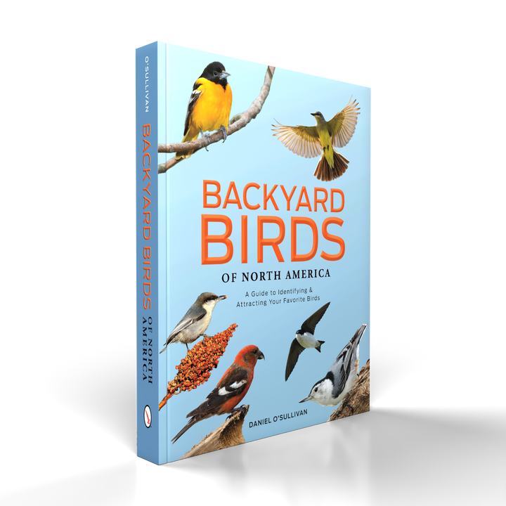Backyard Birds of North America by Schiffer Publishing, Ltd. features bird identification illustrations on a light blue cover with orange and white text. The upright book displays its spine.