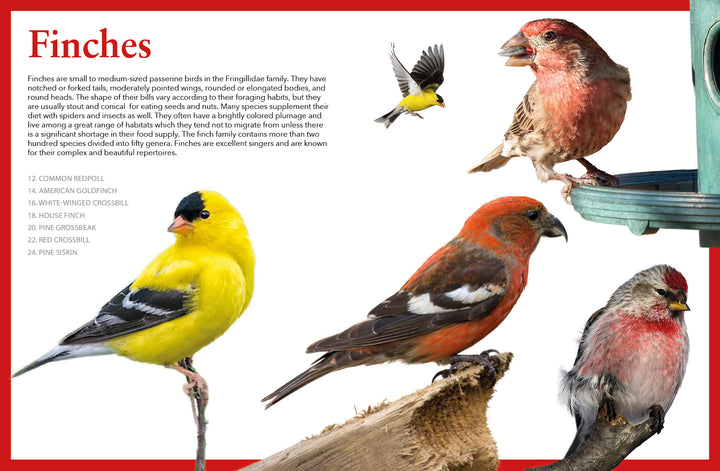 A collage from Schiffer Publishing, Ltd.'s "Backyard Birds of North America" shows five colorful finches on branches and a feeder, with ID tips for bird lovers on a white and red background.
