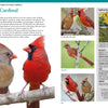 Backyard Birds of North America by Schiffer Publishing, Ltd. features striking images of male and female Northern Cardinals—bright red male beside brownish-red female—plus extra photos for bird identification, including a juvenile and distribution map.