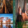 Book cover for Into the Lost World by Schiffer Publishing, Ltd.—a visual exploration of Louisiana's bayous with cypress trees, sunrise egrets, and misty landscapes.