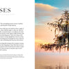 Into the Lost World by Schiffer Publishing, Ltd. captures a serene sunset in the Louisiana bayou—a lone moss-draped cypress reflected in still water beneath a pastel sky.