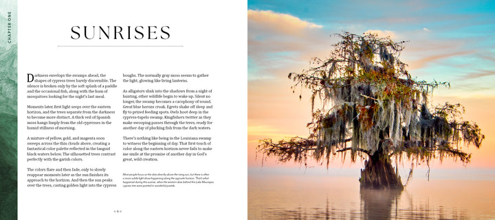 Into the Lost World by Schiffer Publishing, Ltd. captures a serene sunset in the Louisiana bayou—a lone moss-draped cypress reflected in still water beneath a pastel sky.