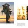 Into the Lost World by Schiffer Publishing, Ltd. captures a hazy Louisiana sunrise over cypress-draped bayous, shimmering reflections, and swamp scenes—golden light, silhouetted trees, and sunken stumps showcase swamp photography at its finest.