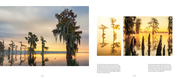 Into the Lost World by Schiffer Publishing, Ltd. captures a hazy Louisiana sunrise over cypress-draped bayous, shimmering reflections, and swamp scenes—golden light, silhouetted trees, and sunken stumps showcase swamp photography at its finest.