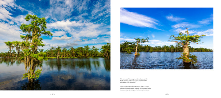 Experience the serene beauty of Louisiana’s bayous with "Into the Lost World" by Schiffer Publishing, Ltd.—a vivid glimpse into wetland wildlife and scenery, perfect for nature lovers and photography enthusiasts.