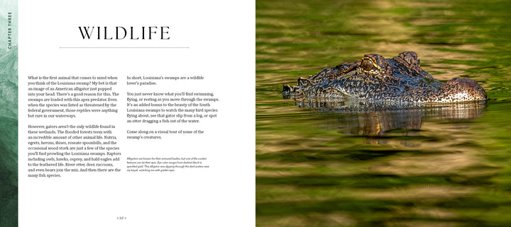 A large alligator floats in dark water, blending into the bayou as it silently observes. On the left, text discusses Louisiana’s diverse wildlife and bayou conservation. From "Into the Lost World" by Schiffer Publishing, Ltd.