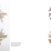 Into the Lost World" by Schiffer Publishing, Ltd. captures two tall cypress trees emerging from misty waters—one enveloped in fog, the other alone against a white expanse—evoking the mystique of Louisiana’s bayous.