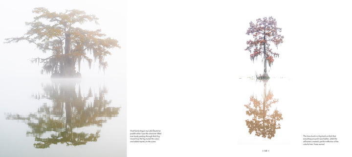 Into the Lost World" by Schiffer Publishing, Ltd. captures two tall cypress trees emerging from misty waters—one enveloped in fog, the other alone against a white expanse—evoking the mystique of Louisiana’s bayous.