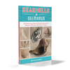 Seashells of Delmarva by Schiffer Publishing, Ltd. features a turquoise and red cover with seashell photos and a subtitle on identifying Delmarva seashells along Delaware, Maryland, and Virginia beaches.