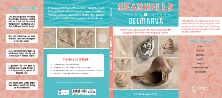 The front and back cover of "Seashells of Delmarva" by Schiffer Publishing, Ltd. display photos of Maryland-Virginia shells, and highlight identification tips, shell facts, and what readers will find in this beachcombing guide.