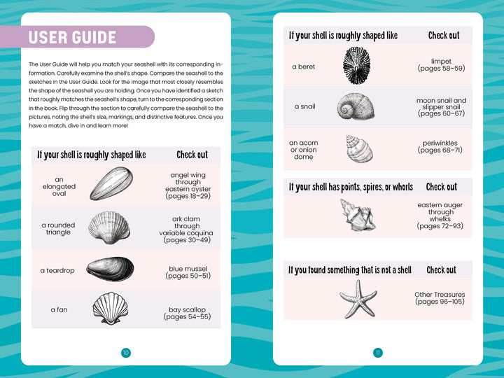 Seashells of Delmarva by Schiffer Publishing, Ltd. is a beachcombing guide with black-and-white shell, anemone, and starfish illustrations plus guiding text on a blue wavy background—ideal for discovering Maryland and Virginia shells.