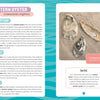 Seashells of Delmarva by Schiffer Publishing, Ltd. features Eastern oysters with a photo of three open shells, habitat and diet info, a Delmarva seashell ID guide, and notes that the Eastern oyster is Virginia’s state shell.