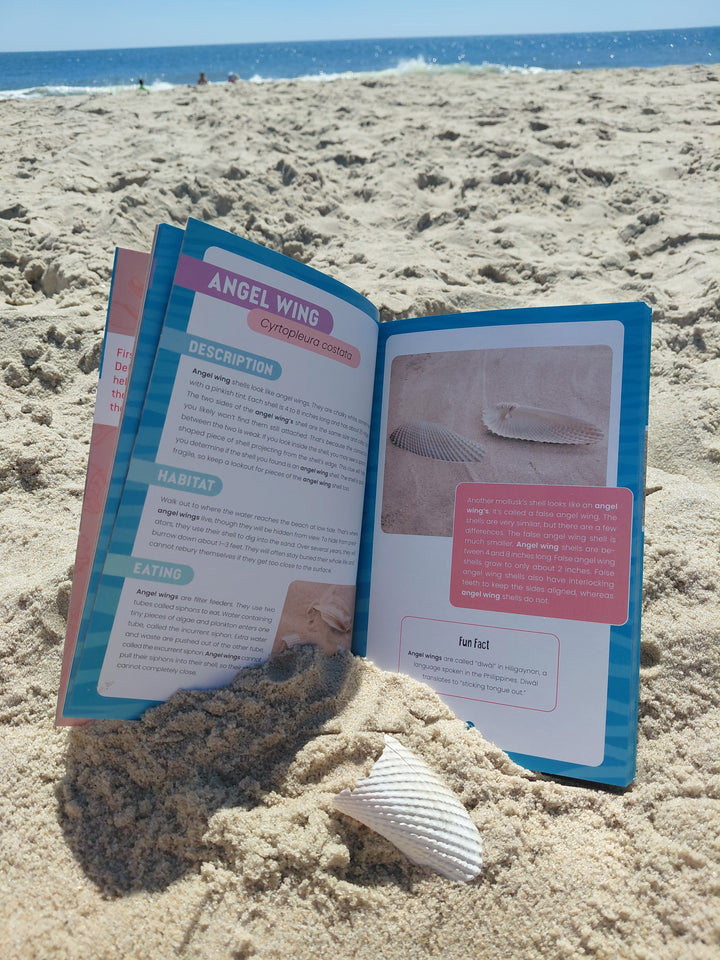 Seashells of Delmarva by Schiffer Publishing, Ltd. lies open on the sand beside a white shell, ocean, and blue sky—an ideal beachcombing guide for identifying and exploring Maryland and Virginia shells.