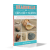 Seashells of Cape Cod and the Islands by Schiffer Publishing, Ltd. features photos of local seashells on sandy, turquoise-striped backgrounds—ideal for Cape Cod beachcombing enthusiasts.