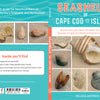 The book "Seashells of Cape Cod and the Islands" by Schiffer Publishing, Ltd. features a cover with Cape Cod seashells on sand and includes facts about Nantucket beachcombing and Martha’s Vineyard shells.