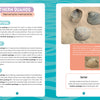 Seashells of Cape Cod and the Islands" by Schiffer Publishing, Ltd. is a two-page illustrated guide to Northern Quahog clams, with descriptions, habitat, eating habits, a photo of shells on sand, and a record Cape Cod seashell fun fact.