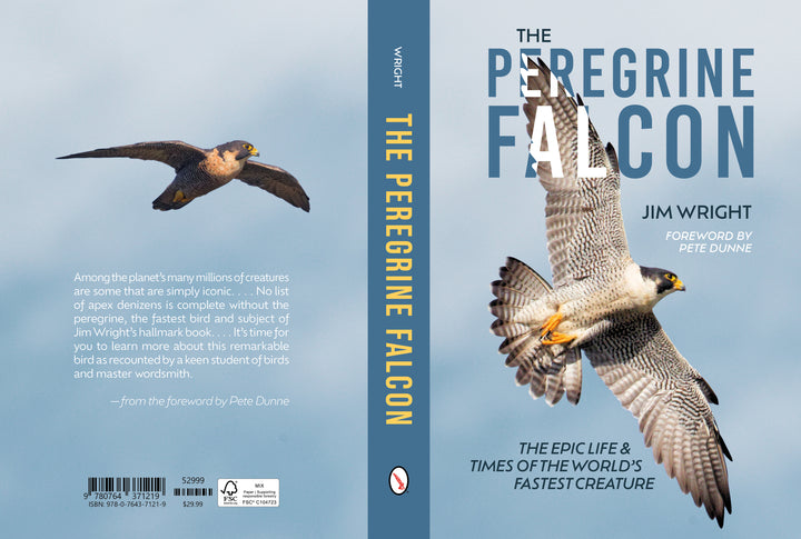 Front and back cover of "The Peregrine Falcon" from Schiffer Publishing, Ltd., showing this iconic bird in flight. The book features a foreword by Pete Dunne and includes a brief synopsis on the cover.