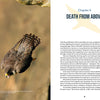 A peregrine falcon dives at top speed, wings folded; a caption highlights this feat. On the right, Chapter 4: Death from Above introduces hunting tactics in "The Peregrine Falcon" by Schiffer Publishing, Ltd.