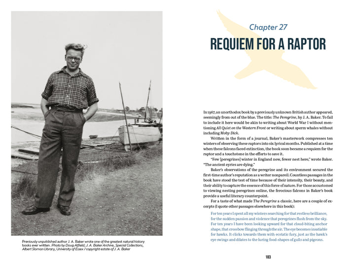 A black-and-white photo of J. A. Baker stands smiling on a riverbank path; opposite, Chapter 27, "Requiem for a Raptor," opens with text and a large bird silhouette in Schiffer Publishing's acclaimed book, The Peregrine Falcon.